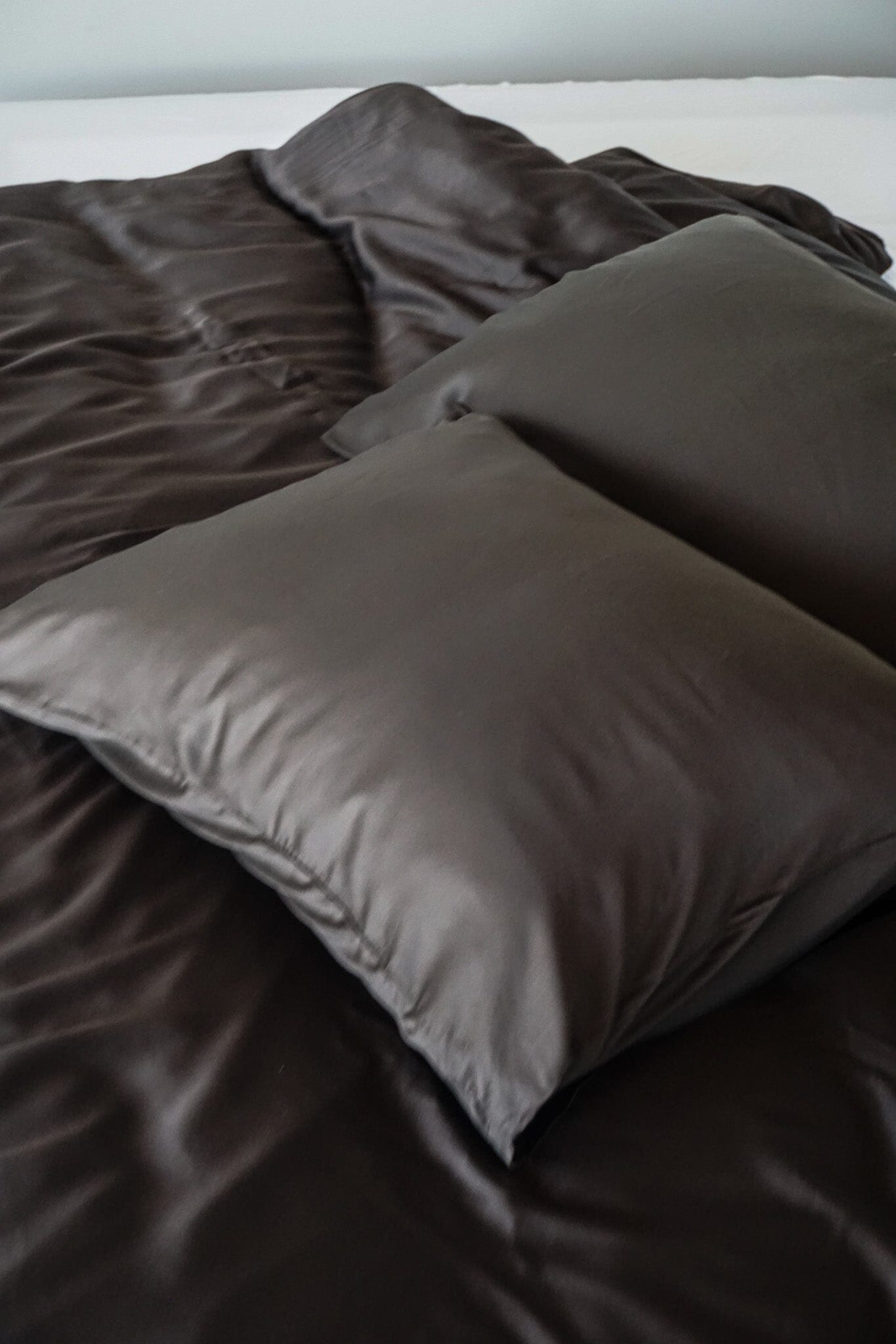 Pillowcase x 2 Bamboo > Pillowcase Bamboo Lyocell Mocca 